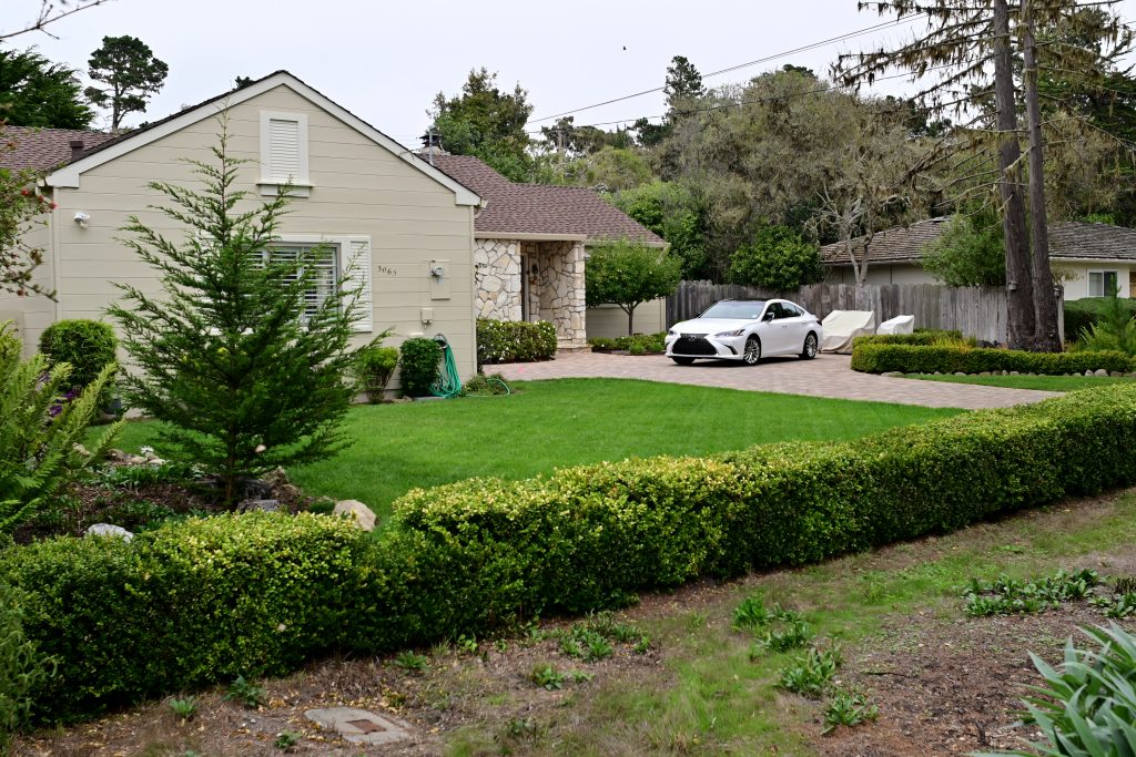 24mm Lens Test