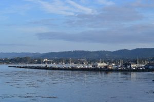 Monterey Bay View